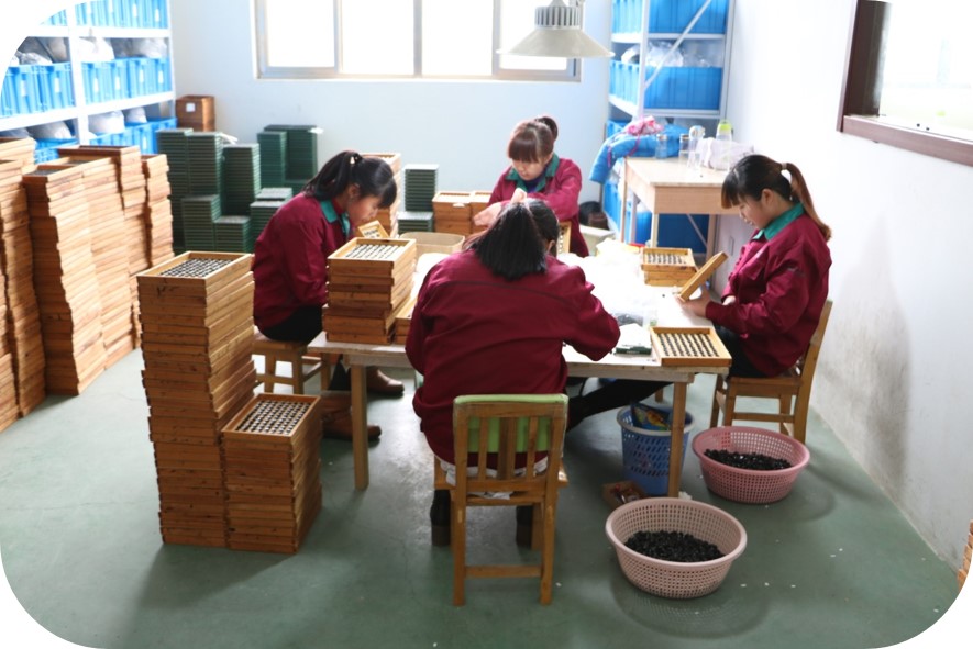 Factory